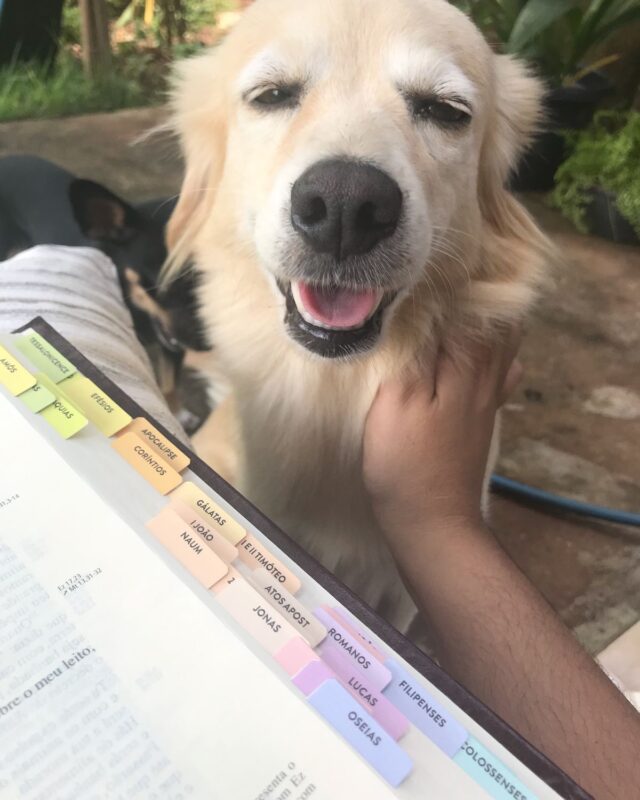 my baby maya (yyy)